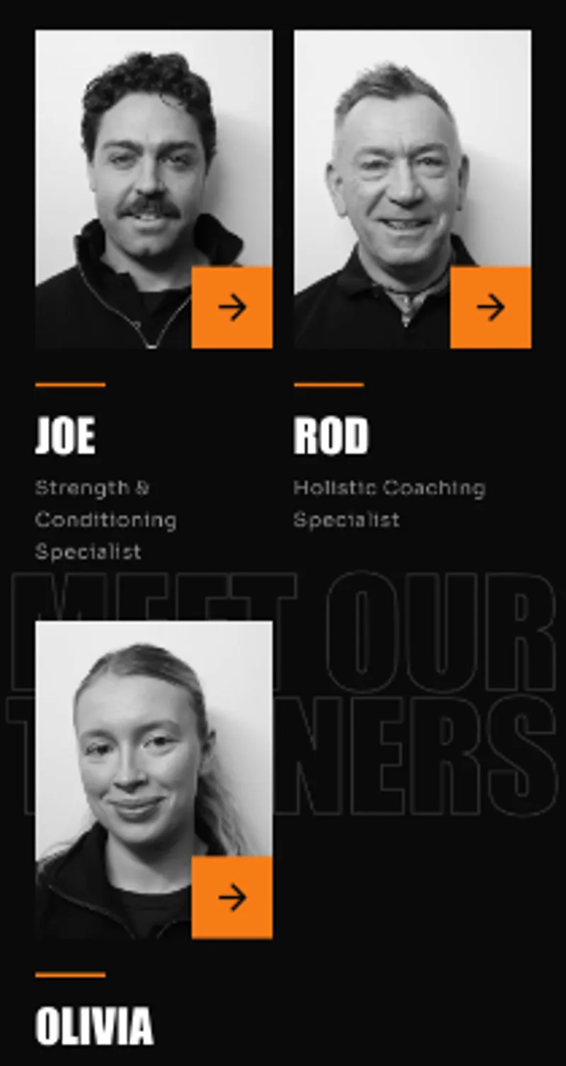 Raw Ener-Chi website, on a phone